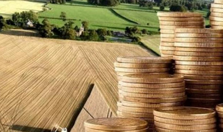 Середня вартість суборенди за 1 гектар землі становить 12 191 грн