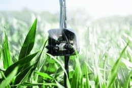 Які особливості й переваги має локальне ґрунтове внесення добрив