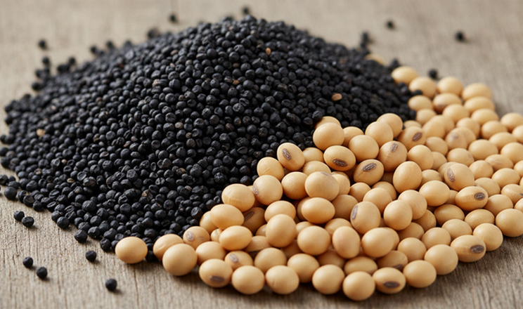 В Мінекономіки готують нові правила моніторингу походження сої та ріпаку