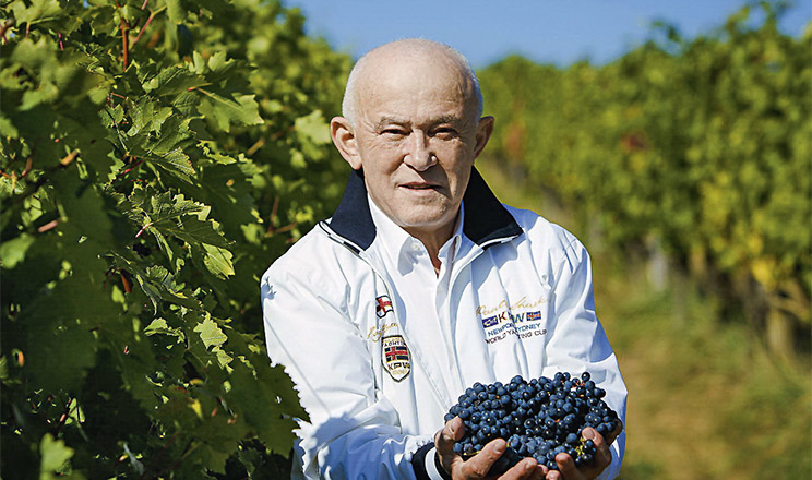 Винна карта Закарпаття