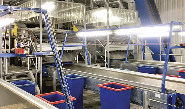 Насіннєвий бізнес: з чого почати